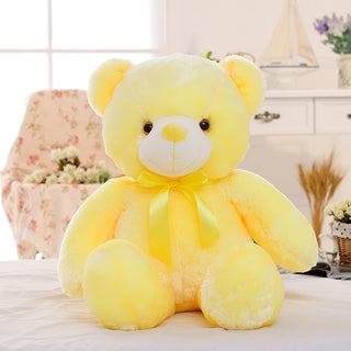 LED Teddy Bear Stuffed Animal