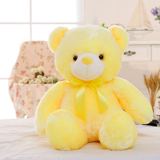 LED Teddy Bear Stuffed Animal
