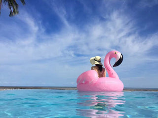 Giant Inflatable Flamingo Float